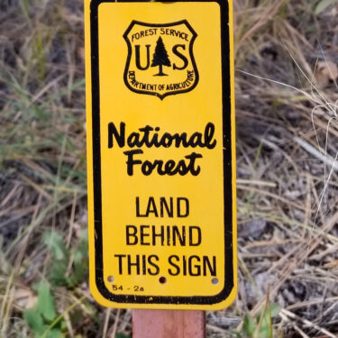 Our Property Borders the National Forest